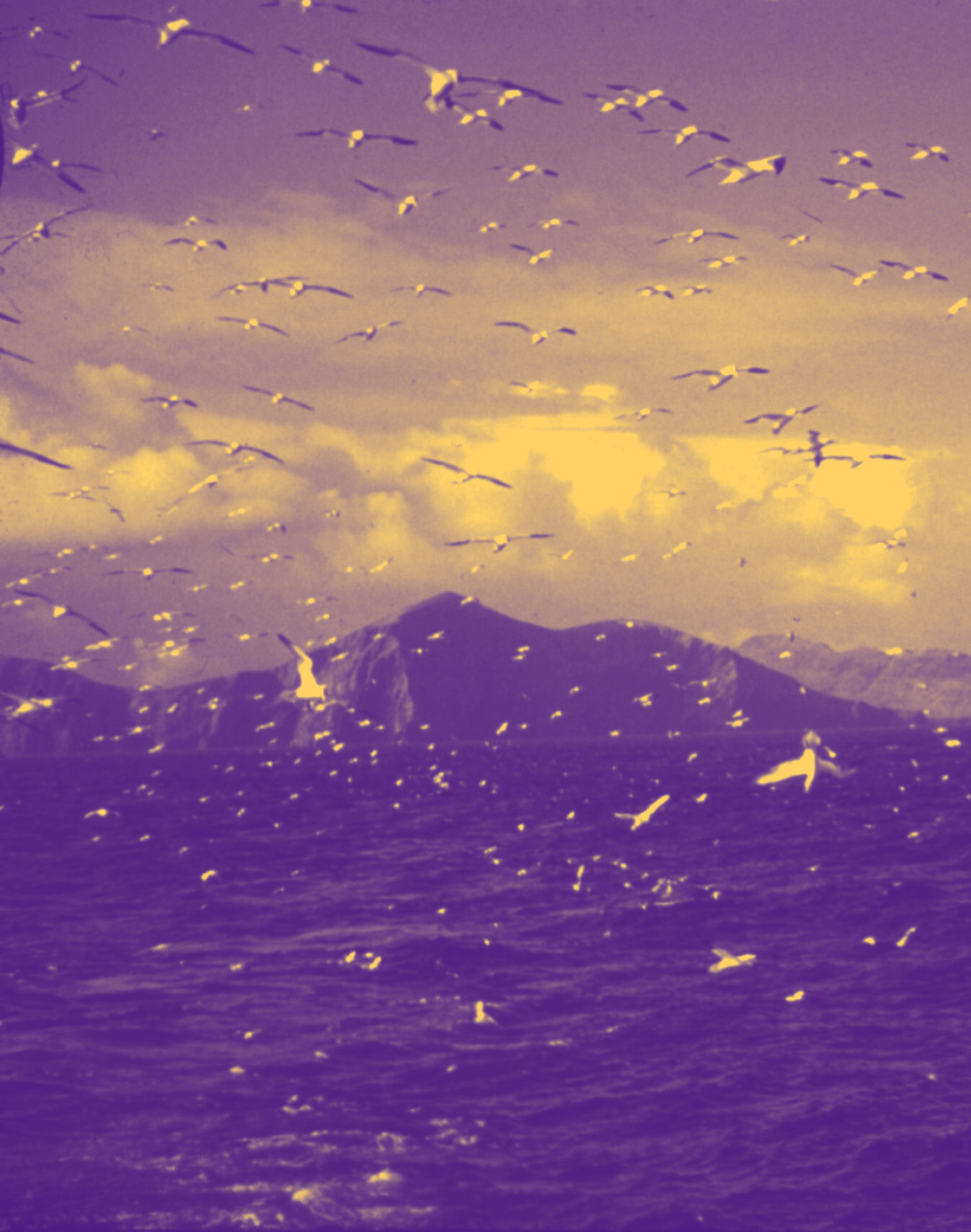 St Kilda - les îles du silence — Superspectives